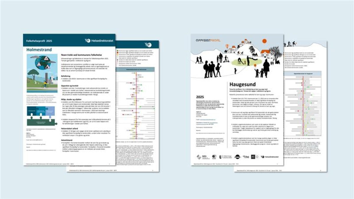 https://www.helsedirektoratet.no/forebygging-diagnose-og-behandling/forebygging-og-levevaner/folkehelsestatistikk-og-profiler/_/image/be3be341-693e-47fb-96d1-97a4a8c07e4d:f9907be71638b8b8a6d7091263bbc57422d05e18/width-1200/Illustrasjon%20av%20folkehelseprofiler%20oppvekstprofiler.png
